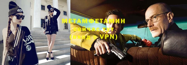 крисы Мегион