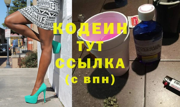 крисы Мегион