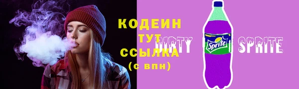 крисы Мегион