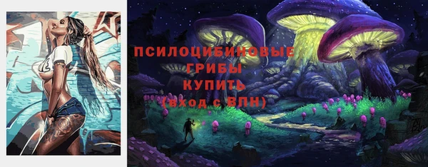 крисы Мегион