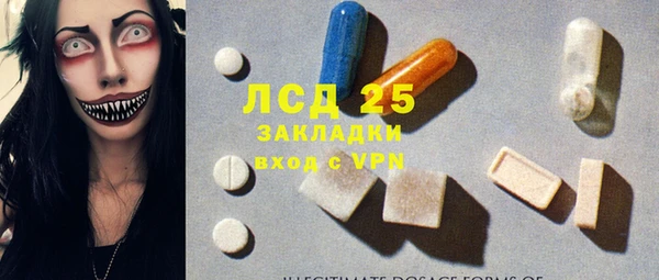 крисы Мегион
