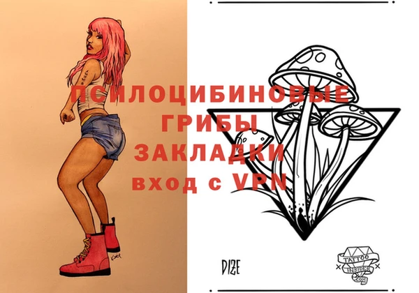 spice Медвежьегорск