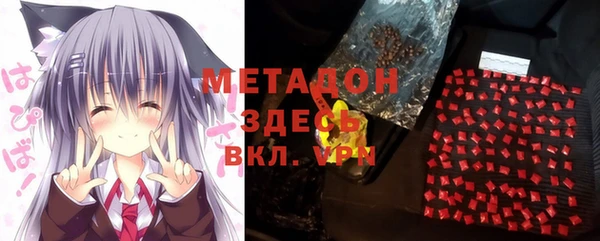 крисы Мегион