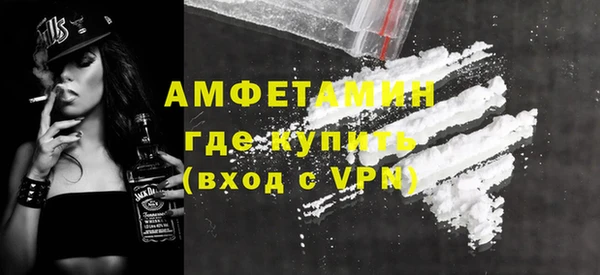 крисы Мегион