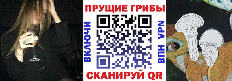 где можно купить наркотик  Неман  Псилоцибиновые грибы Cubensis 